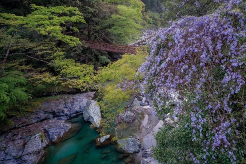 四国旅行のhub拠点 古民家ゲストハウス Heso Camp Miyoshi  Bagian luar foto